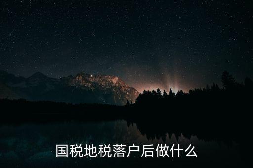 國稅地稅落戶后做什么