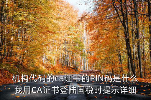 國(guó)稅ca證書登錄 密碼是什么，國(guó)稅第一次網(wǎng)上申報(bào)的登陸密碼是什么