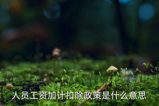 加計(jì)扣除有什么條件，人員工資加計(jì)扣除政策是什么意思