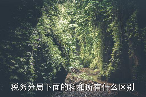 稅局計(jì)統(tǒng)科是什么意思，稅務(wù)分局下面的科和所有什么區(qū)別