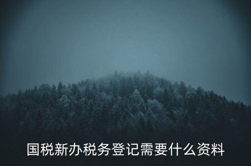 國稅新辦稅務(wù)登記需要什么資料