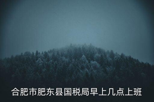 安徽國稅什么時(shí)候上班時(shí)間，國稅局的上班時(shí)間