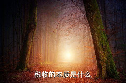 納稅服務(wù)本質(zhì)是什么意思，稅收的本質(zhì)是什么