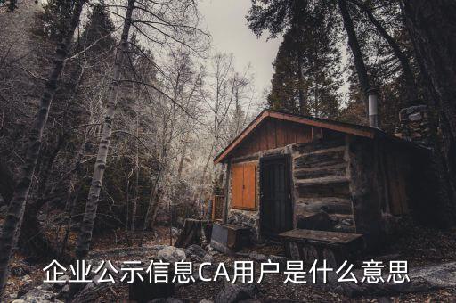 納稅人ca用戶是什么意思，什么是CA用戶啊