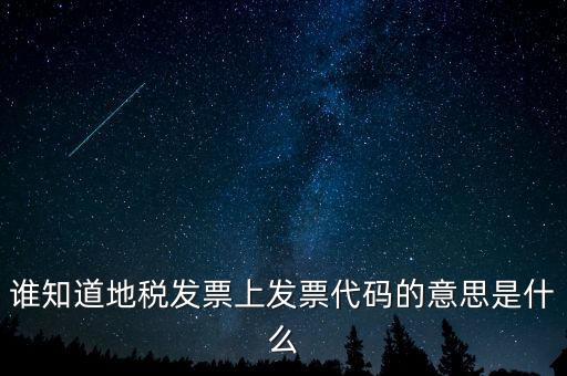 誰知道地稅發(fā)票上發(fā)票代碼的意思是什么