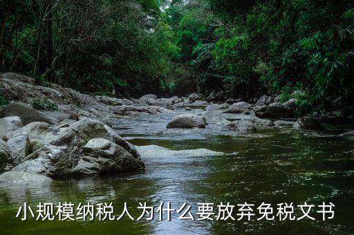 小規(guī)模納稅人為什么要放棄免稅文書(shū)