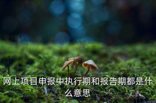 網(wǎng)上項目申報中執(zhí)行期和報告期都是什么意思