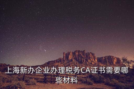 2014年7月份上海稅務(wù)局還需要審什么證，上海新辦企業(yè)辦理稅務(wù)CA證書(shū)需要哪些材料