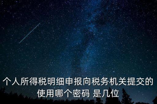 個人所得稅明細申報向稅務機關提交的使用哪個密碼 是幾位