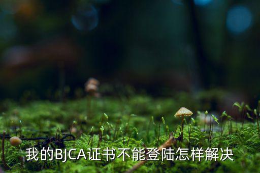 為什么ca證書不能登錄，我的BJCA證書不能登陸怎樣解決