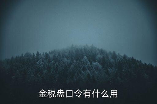 報稅數(shù)字證書口令是什么，陜西天暢偉業(yè)的網(wǎng)上報稅系統(tǒng)的登錄口令是什么