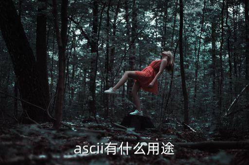 稅優(yōu)識別碼有什么用，ascii有什么用途