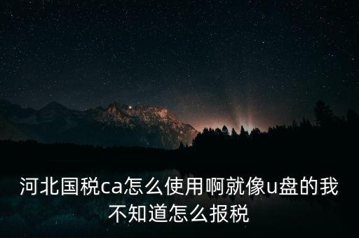 ca行助手是什么，稅務(wù)申報是否下載ca行助手就可以了