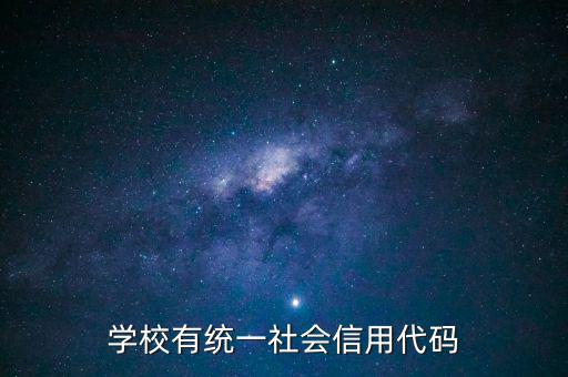 學校有統(tǒng)一社會信用代碼