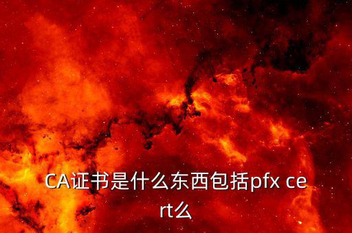 CA證書是什么東西包括pfx cert么