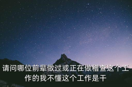 請問哪位前輩做過或正在做稽查這個工作的我不懂這個工作是干