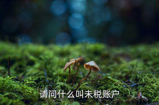 請(qǐng)問什么叫未稅賬戶