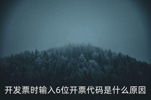 開(kāi)發(fā)票時(shí)輸入6位開(kāi)票代碼是什么原因