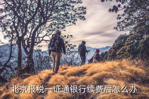 稅務(wù)一證通是什么，金稅盤和一證通有區(qū)別嗎