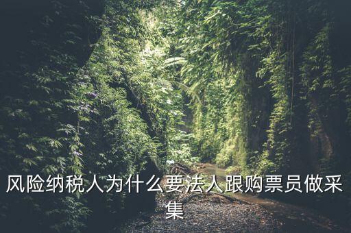 什么叫風(fēng)險(xiǎn)納稅人，企業(yè)本月進(jìn)行了國(guó)稅跨區(qū)遷移還沒有報(bào)道莫名其妙被列為風(fēng)險(xiǎn)納