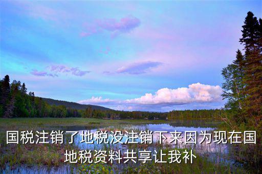 國(guó)稅注銷了地稅沒注銷下來因?yàn)楝F(xiàn)在國(guó)地稅資料共享讓我補(bǔ)