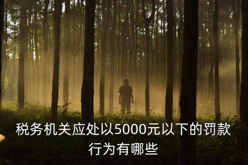 稅務機關(guān)應處以5000元以下的罰款行為有哪些