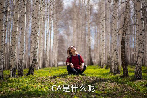 稅務(wù)ca 是什么，Ca是什么