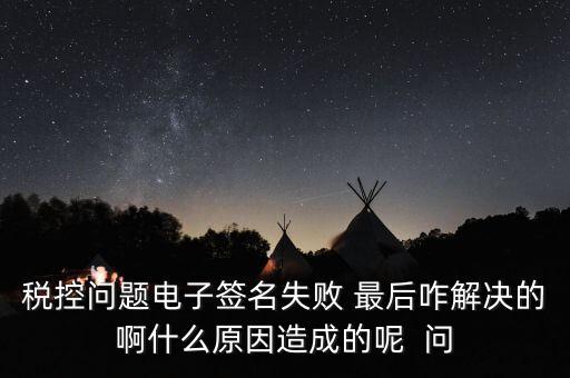 什么是稅控簽名，報稅時數(shù)字簽名是甚么意思