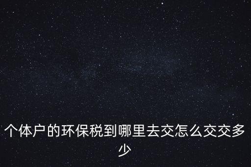 個體戶的環(huán)保稅到哪里去交怎么交交多少