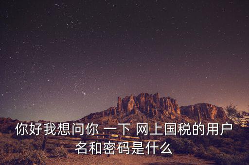 你好我想問(wèn)你 一下 網(wǎng)上國(guó)稅的用戶名和密碼是什么