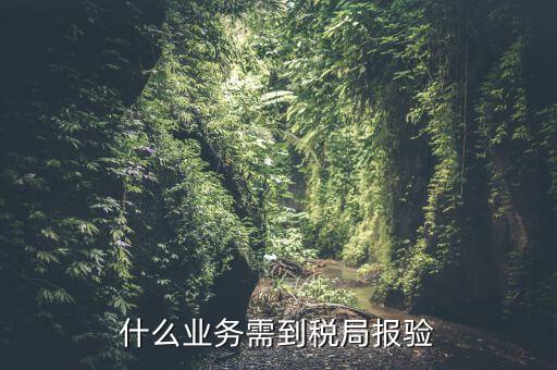 什么是稅務報驗，地稅發(fā)票報驗是什么回事啊 怎么報驗什么時候報驗啊