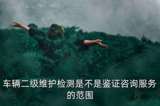 車輛二級維護檢測是不是鑒證咨詢服務的范圍