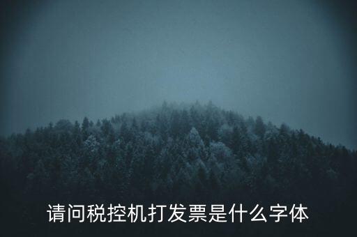 請問稅控機(jī)打發(fā)票是什么字體