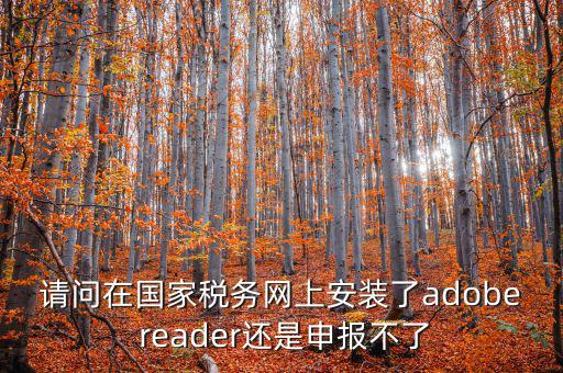 請問在國家稅務(wù)網(wǎng)上安裝了adobe reader還是申報不了