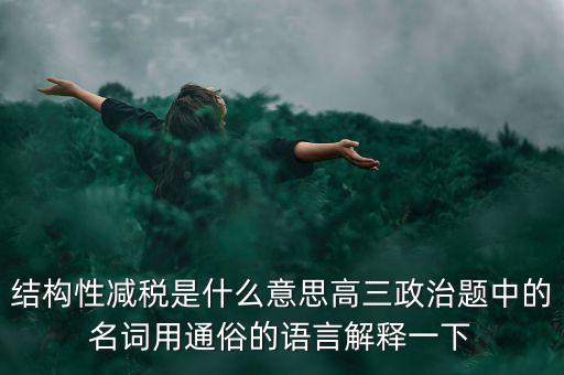 結(jié)構性減稅是什么意思高三政治題中的名詞用通俗的語言解釋一下