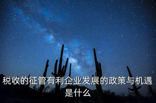 什么是大征管，海關(guān)的稅收征管是做什么的