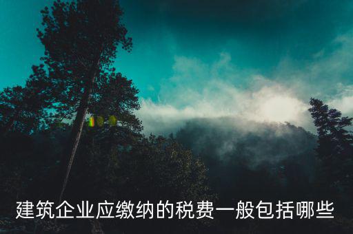 建筑企業(yè)應(yīng)繳納的稅費一般包括哪些