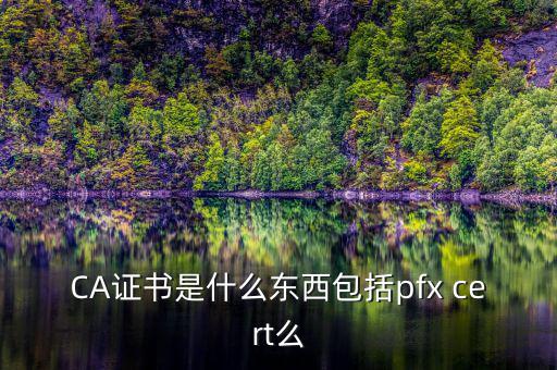 什么叫ca證書，什么事CA證書