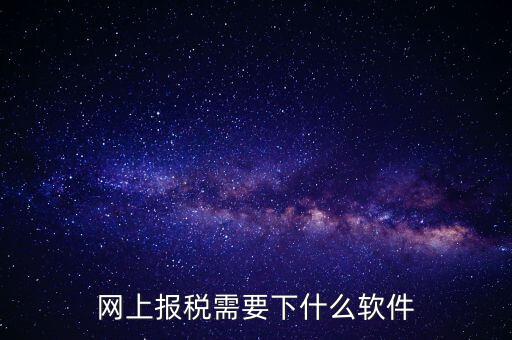 報國稅都安裝什么軟件，網(wǎng)上報稅需要下什么軟件