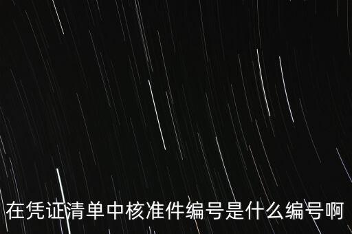 在憑證清單中核準件編號是什么編號啊