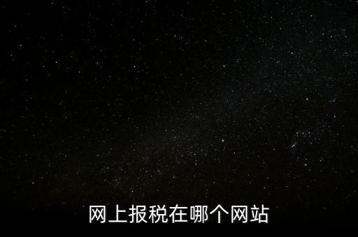 廣西網(wǎng)上辦稅的網(wǎng)址是什么意思，網(wǎng)上報稅在哪個網(wǎng)站