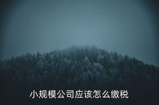 小規(guī)模公司應該怎么繳稅