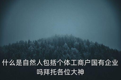 什么是稅務中的自然人，會計中自然人所指的是那種人