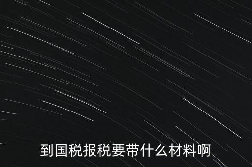 到國稅報(bào)稅要帶什么材料啊