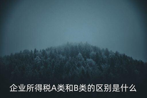 企業(yè)所得稅b類是什么意思，企業(yè)所得稅A類和B類的區(qū)別是什么