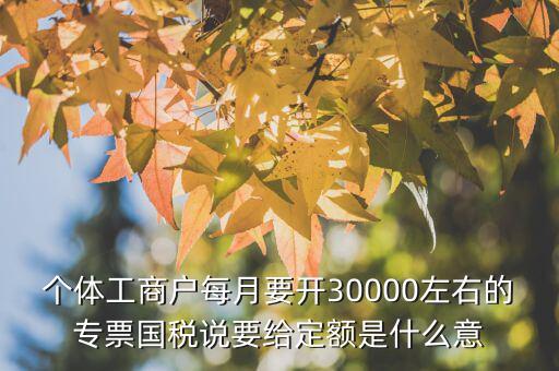 國(guó)稅定額是什么意思，個(gè)體工商戶(hù)每月要開(kāi)30000左右的專(zhuān)票國(guó)稅說(shuō)要給定額是什么意