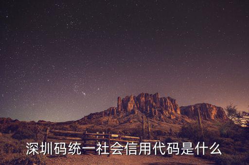 什么是社會(huì)信用代碼證，深圳碼統(tǒng)一社會(huì)信用代碼是什么