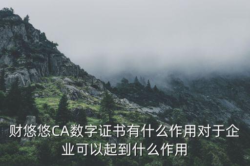 財(cái)悠悠CA數(shù)字證書(shū)有什么作用對(duì)于企業(yè)可以起到什么作用