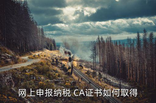 網(wǎng)上申報(bào)納稅 CA證書如何取得