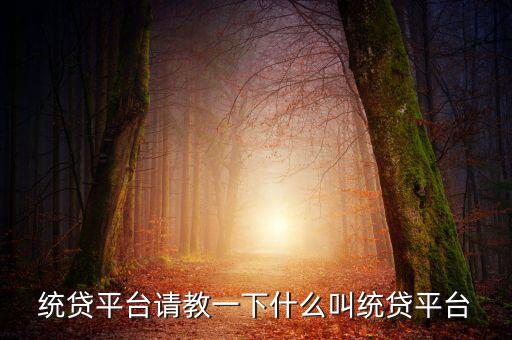 統(tǒng)貸平臺(tái)請(qǐng)教一下什么叫統(tǒng)貸平臺(tái)